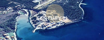 /international/hr/zadarska-zupanija-zadar-county-310096816027/