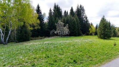 /international/hr/ravna-gora-primorje-gorski-kotar-county-120091892568/