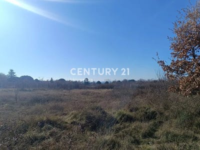 /international/hr/istarska-zupanija-istria-county-310097321298/