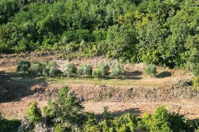 /international/hr/umag-istria-county-310107190533/