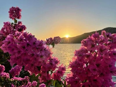 /international/hr/seget-split-dalmatia-county-310093861524/