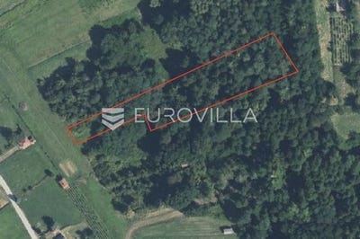 /international/hr/ivanec-varazdin-county-310105516973/