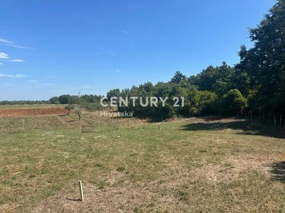 /international/hr/istarska-zupanija-istria-county-310101559708/