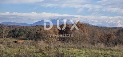 /international/hr/pazin-istria-county-310107564056/