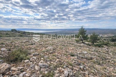 /international/hr/zadar-zadar-county-310105992233/