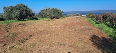 /international/hr/dobropoljana-zadar-county-120094740178/