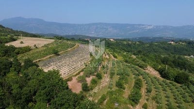 /international/hr/pican-istria-county-310100404253/