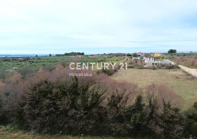 /international/hr/istarska-zupanija-istria-county-310105943238/