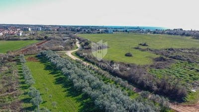 /international/hr/umag-istria-county-120098365102/