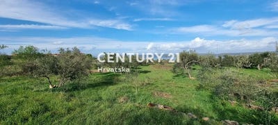 /international/hr/zadarska-zupanija-zadar-county-310106855390/