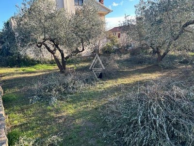 /international/hr/pula-istria-county-310100362778/
