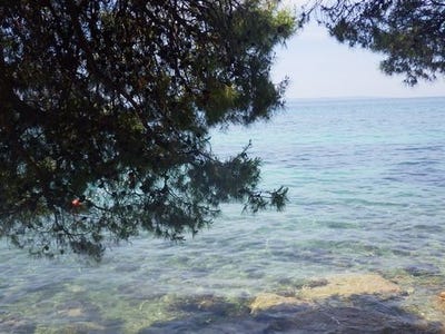 /international/hr/split-split-dalmatia-county-310104892595/