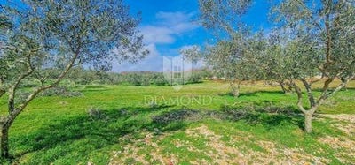/international/hr/buje-istria-county-120098079192/
