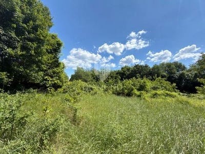/international/hr/barban-istria-county-310108054442/