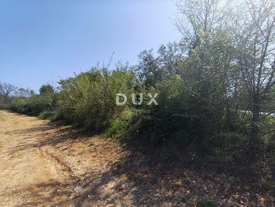 /international/hr/medulin-istria-county-310107374439/