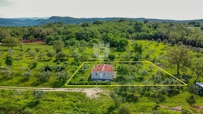 /international/hr/buje-istria-county-310107947808/