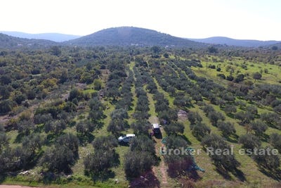 /international/hr/marina-split-dalmatia-county-310107219718/