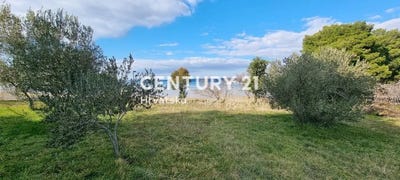 /international/hr/zadarska-zupanija-zadar-county-310106857584/