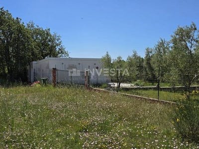 /international/hr/vodnjan-istria-county-310108271240/