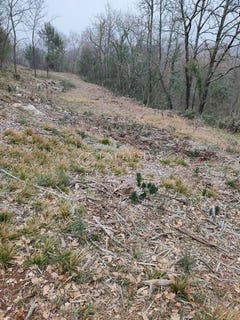 /international/hr/moscenicka-draga-primorje-gorski-kotar-county-120087316948/