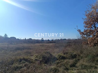 /international/hr/istarska-zupanija-istria-county-310097321298/