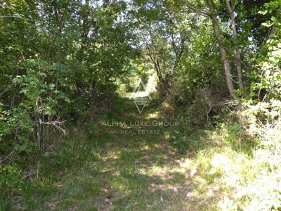 /international/hr/istarska-zupanija-istria-county-310103995662/