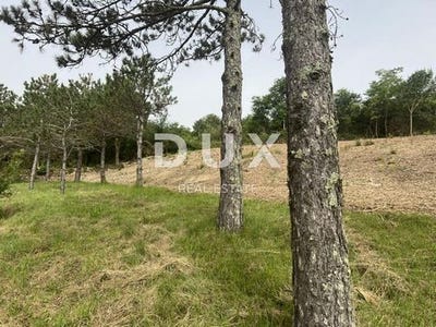 /international/hr/krsan-istria-county-120093014806/