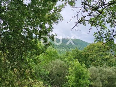 /international/hr/buzet-istria-county-310099348202/