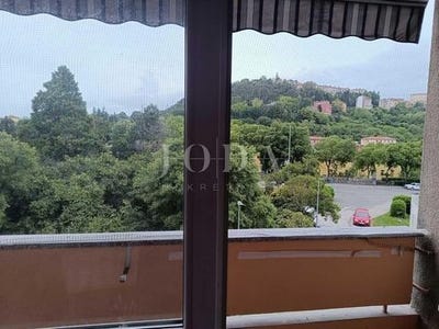 /international/hr/labin-istria-county-310108055886/