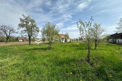 /international/hr/vinkovci-vukovar-srijem-county-310098841998/