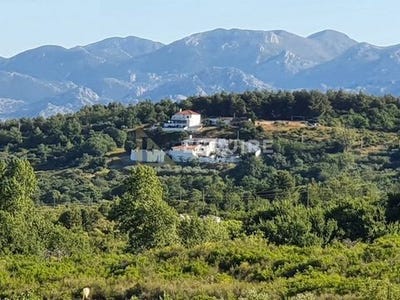 /international/hr/razanac-zadar-county-310103392240/