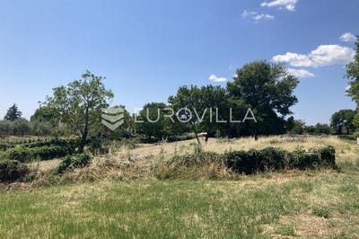 /international/hr/pula-istria-county-310100016142/