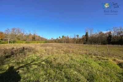 /international/hr/novigrad-istria-county-310104799449/