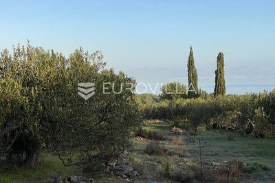 /international/hr/brac-split-dalmatia-county-310105007457/
