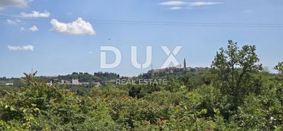 /international/hr/buje-istria-county-120096362443/