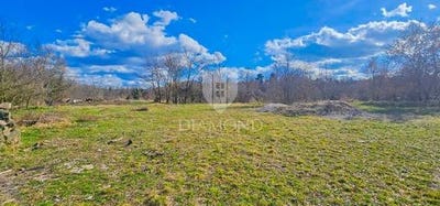 /international/hr/buje-istria-county-310105833435/