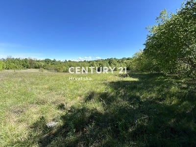 /international/hr/istarska-zupanija-istria-county-310106858922/