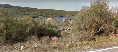 /international/hr/sali-zadar-county-120092198584/