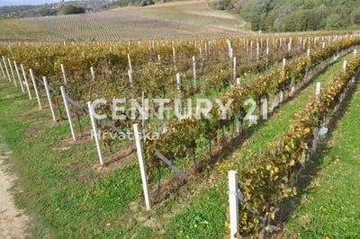 /international/hr/međimurska-zupanija-međimurje-county-310096246877/