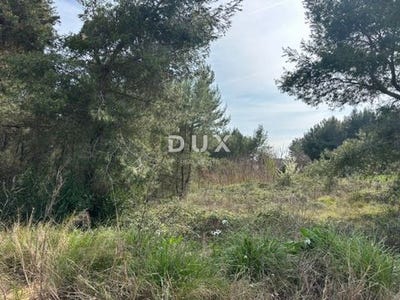 /international/hr/medulin-istria-county-310106488828/