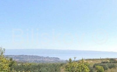 /international/hr/split-split-dalmatia-county-310101487472/