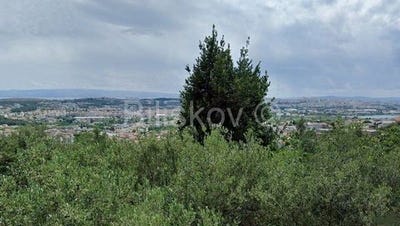 /international/hr/solin-split-dalmatia-county-310102131159/