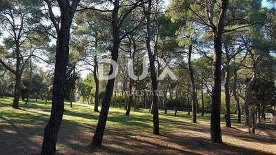 /international/hr/rovinj-istria-county-120097094157/