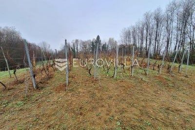 /international/hr/duga-resa-karlovac-county-310103490272/