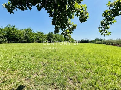 /international/hr/istarska-zupanija-istria-county-310106855973/