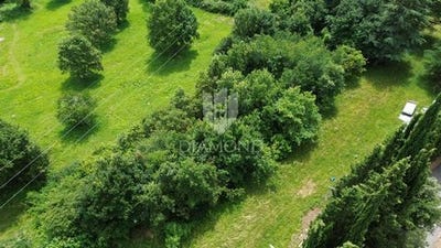 /international/hr/krsan-istria-county-120092939437/