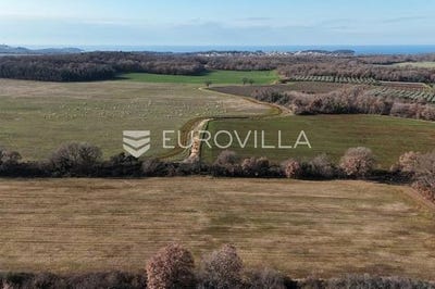 /international/hr/porec-istria-county-310104892718/
