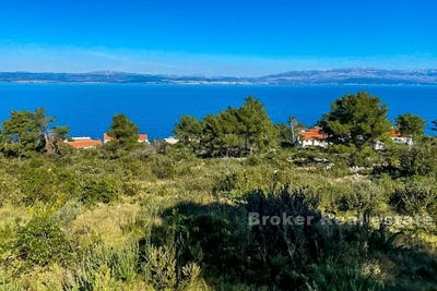 /international/hr/olta-split-dalmatia-county-310107219208/
