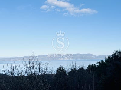 /international/hr/istarska-zupanija-istria-county-310103462114/