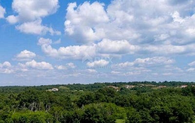 /international/hr/tinjan-istria-county-120090476134/